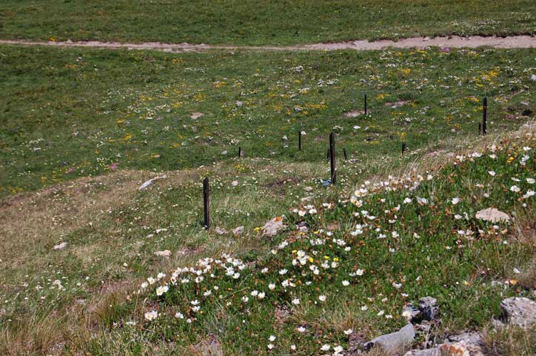 Moncenisio Batteria La Court-Sostegni per reticolati