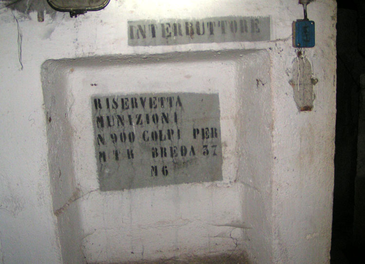 25.op.5-istruz.691.jpg