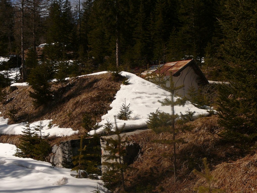 P1040900.JPG