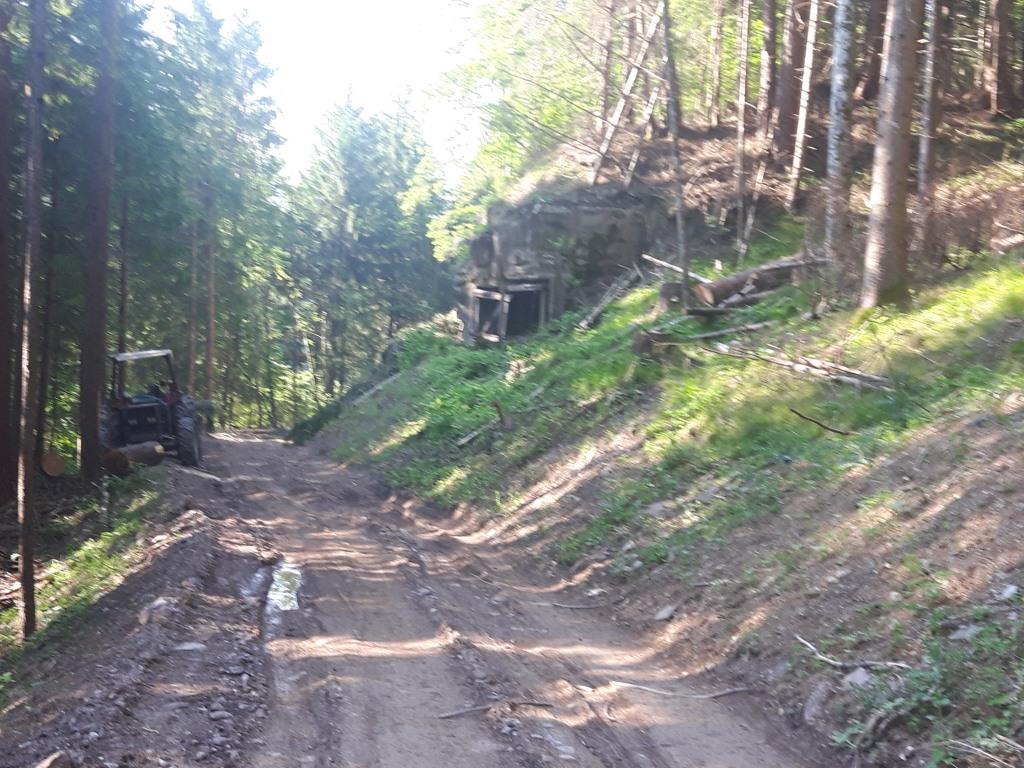 20170530_084532.jpg