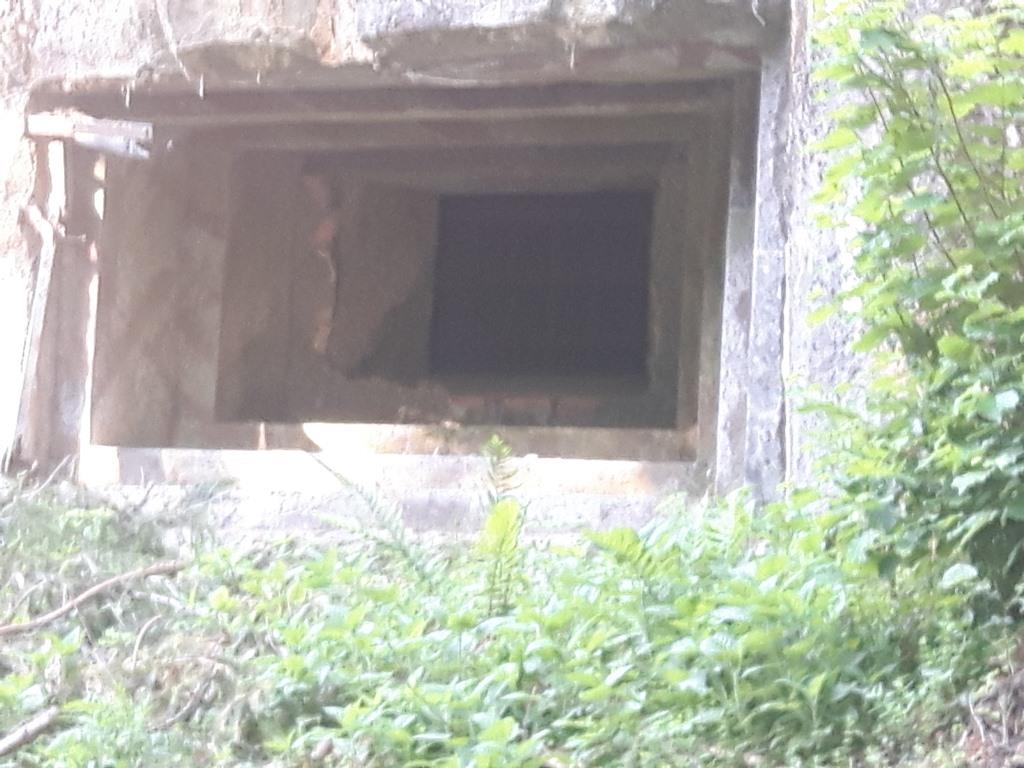 20170530_084617.jpg