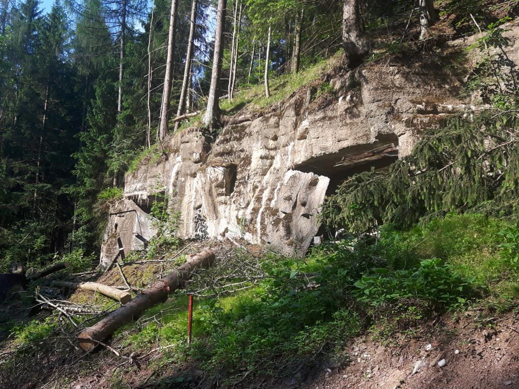 20170530_084632.jpg