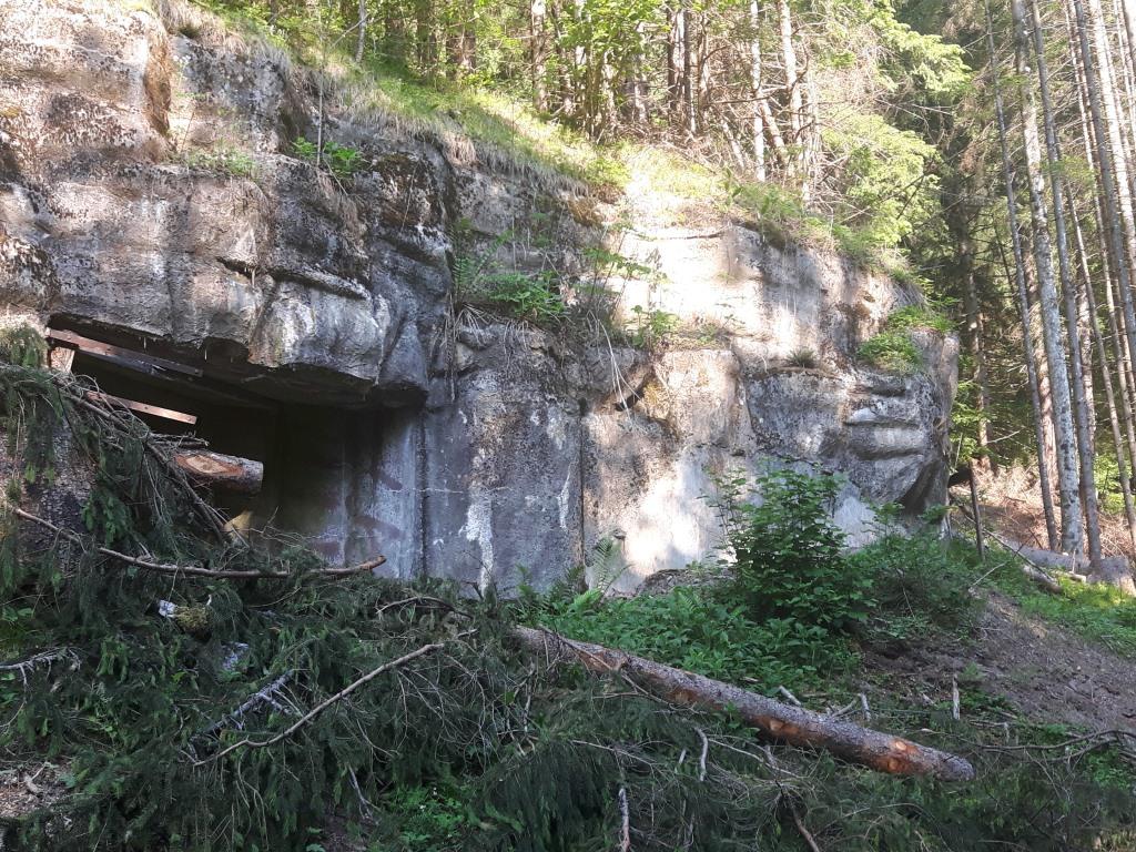 20170530_084636.jpg