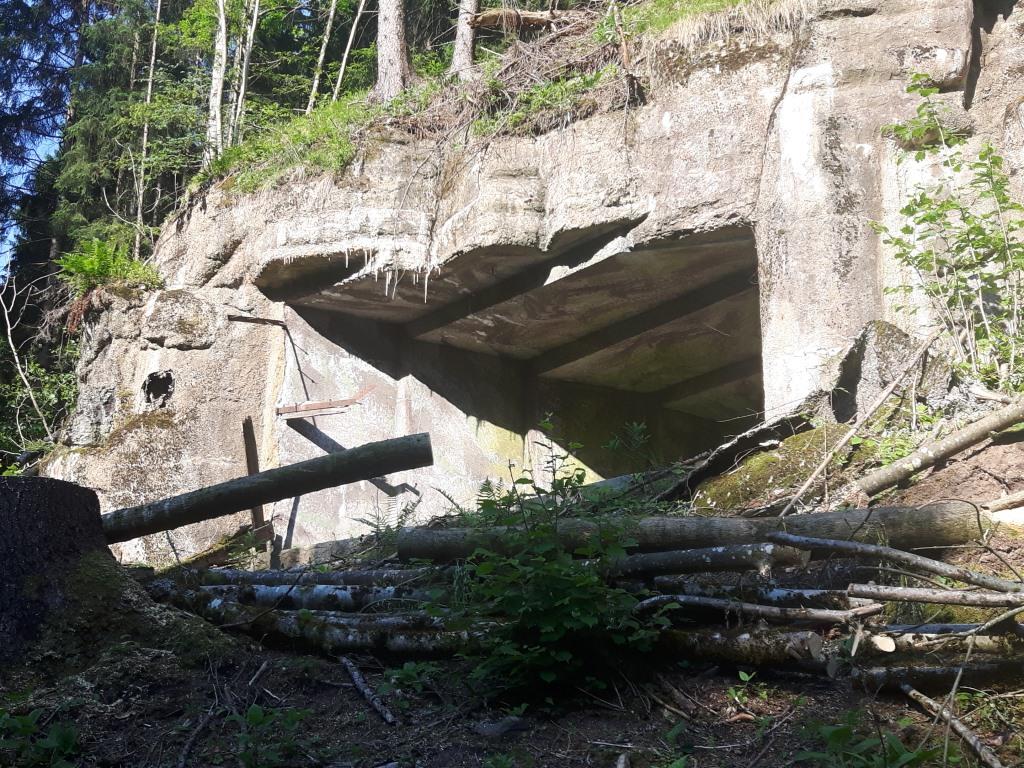 20170530_084650.jpg