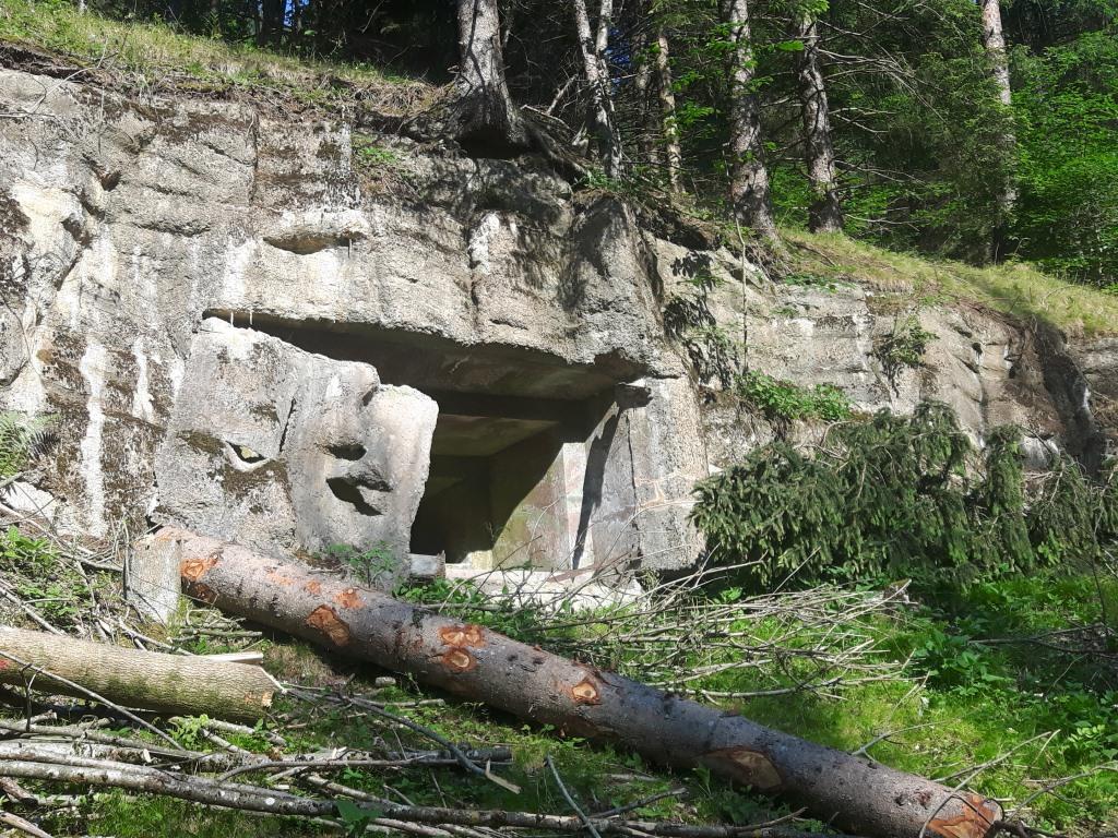 20170530_084653.jpg