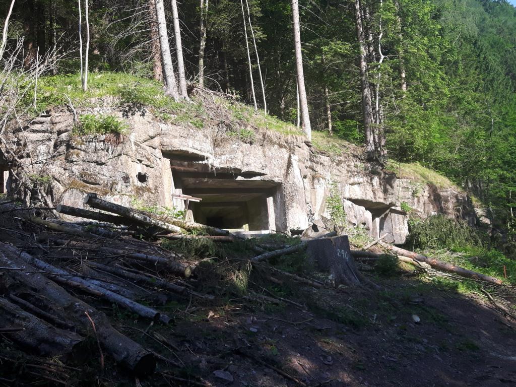 20170530_084717.jpg
