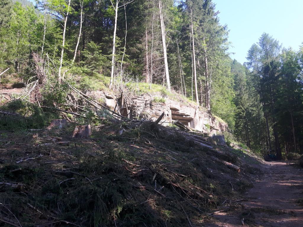 20170530_084750.jpg