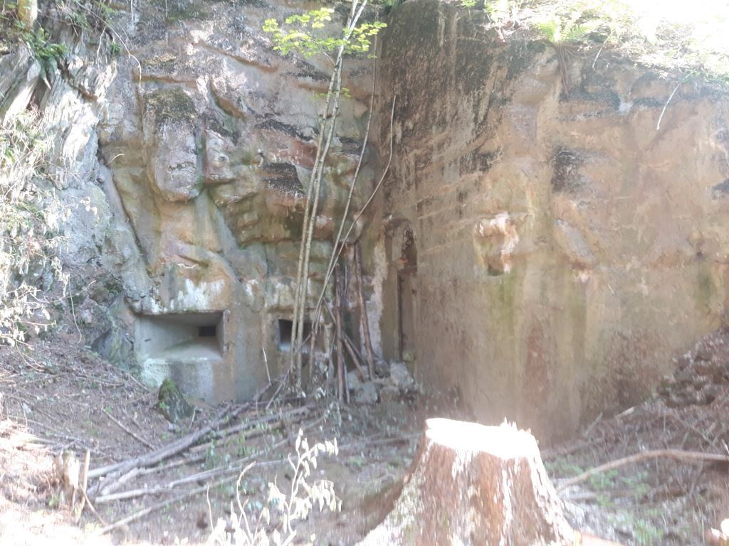 20170530_085335.jpg