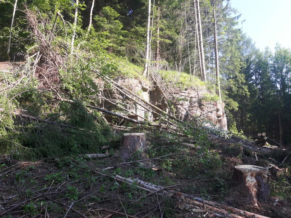 20170530_085438.jpg