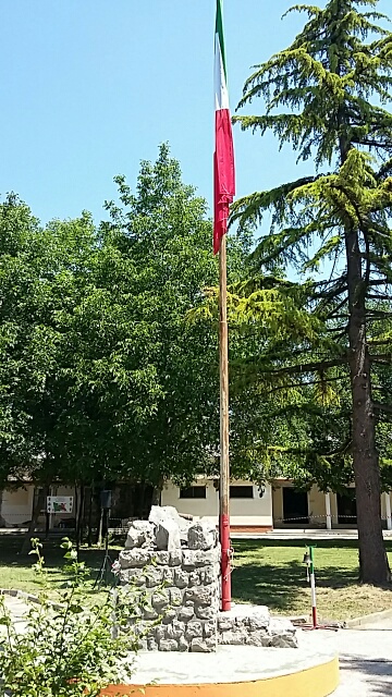 A - Tricolore.jpg