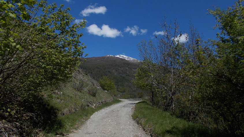 Visibile sullo sfondo la cima innevata dello Jafferau