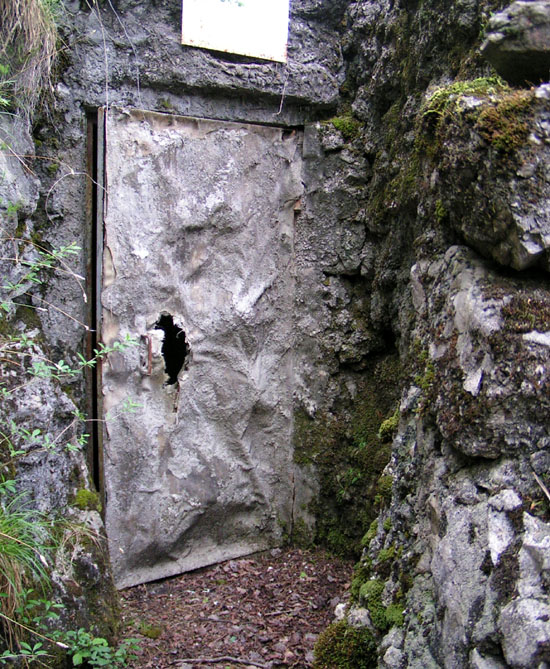 porta di uscita mimetica