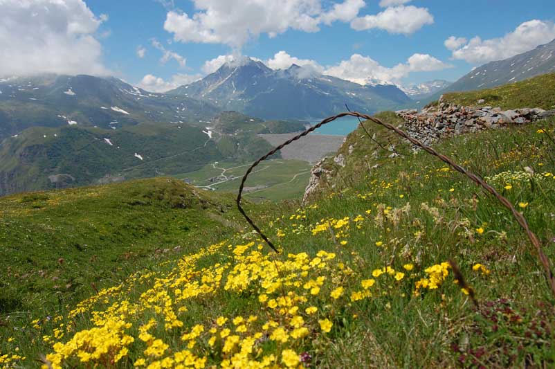 Moncenisio-Dintorni della Batteria La Court