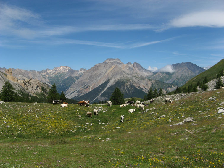 Nei pressi del Col des Acles dimentichiamo per un attimo l'opera dell'uomo