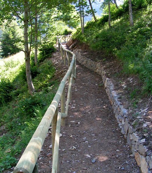 vialetti rivisti
