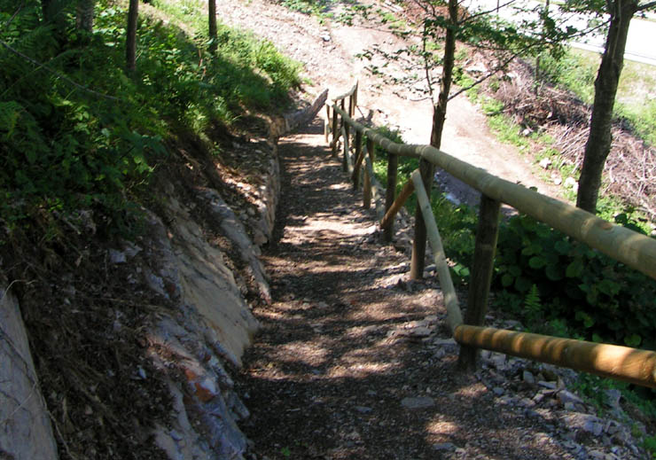 vialetti rivisti