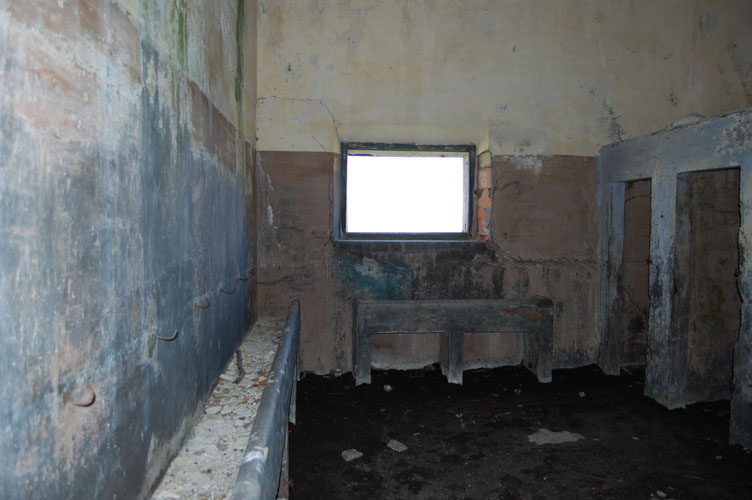 Lavandini e latrine