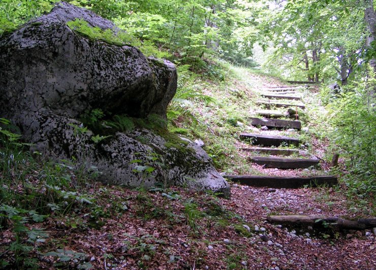 viottolo verso uscita bassa P2