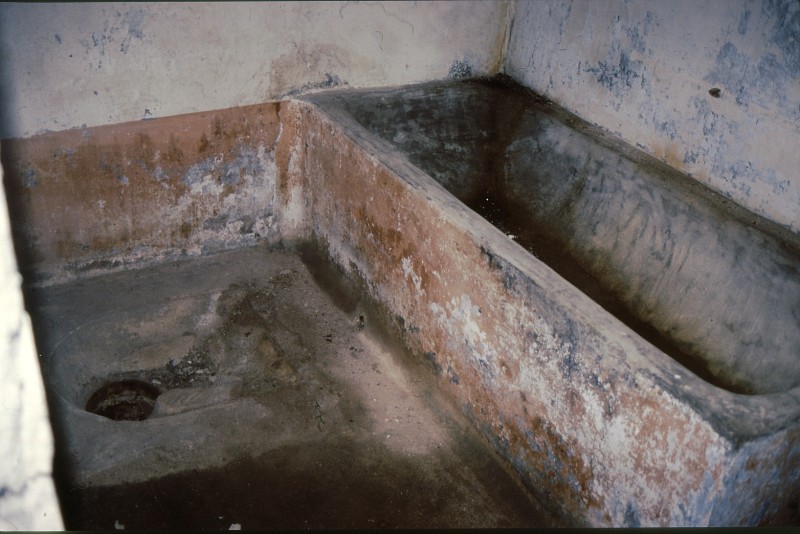 19950708 010-009 Bagno Ufficiale.jpg
