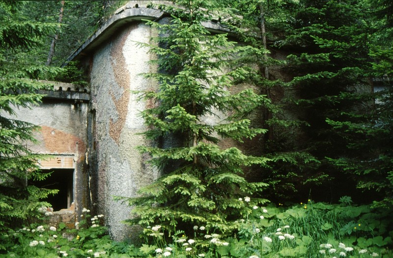 19950708 002-001 Ingresso nascosto tra i pini.jpg