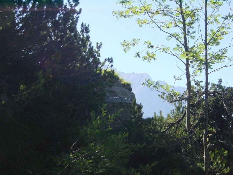 20030719 108. Da lontano.JPG