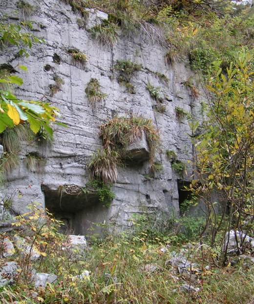 facciata di mascheramento entrata sud alta e feritoia difesa ingresso