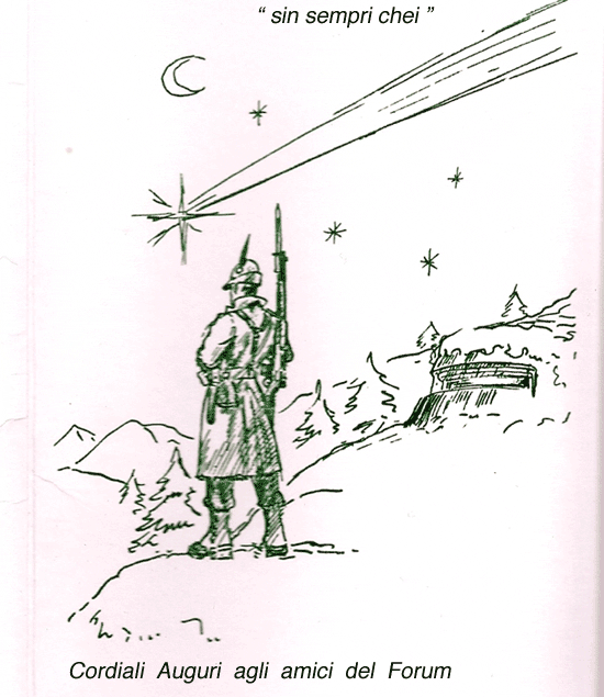 11°-Rag.-Alpini-d'-Arresto..gif