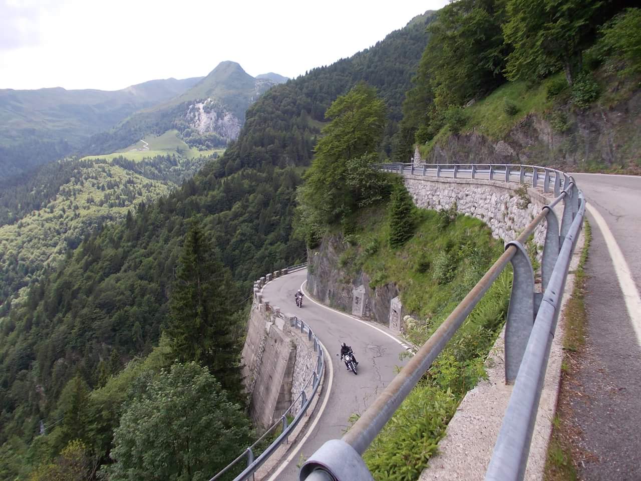 verso pso m c carnico.jpg