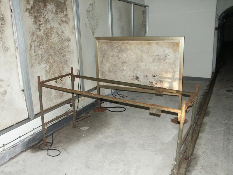 bra1 2791.jpg