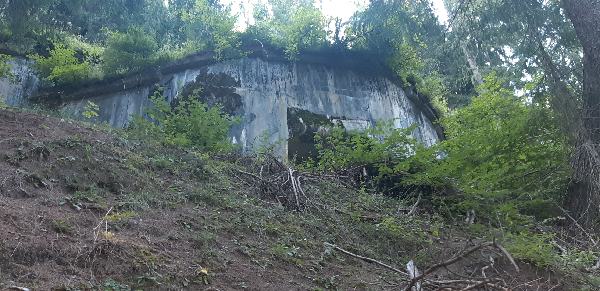 20210901_165738_resize_79.jpg