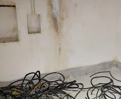 Camp-Opera 2 - 2.png