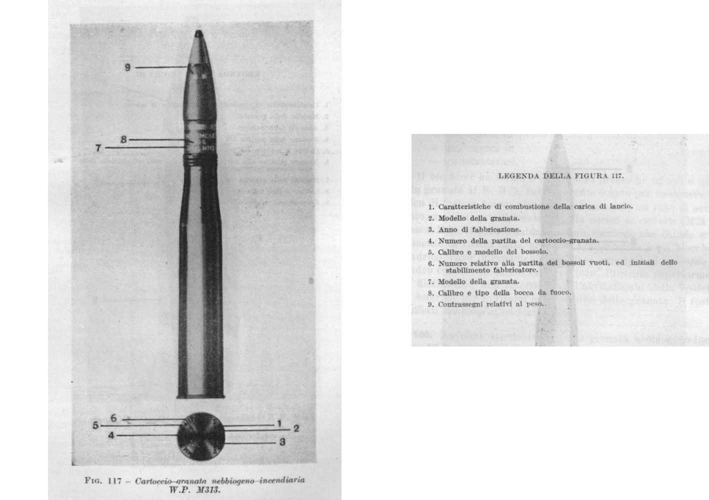 W.P. M313.jpg