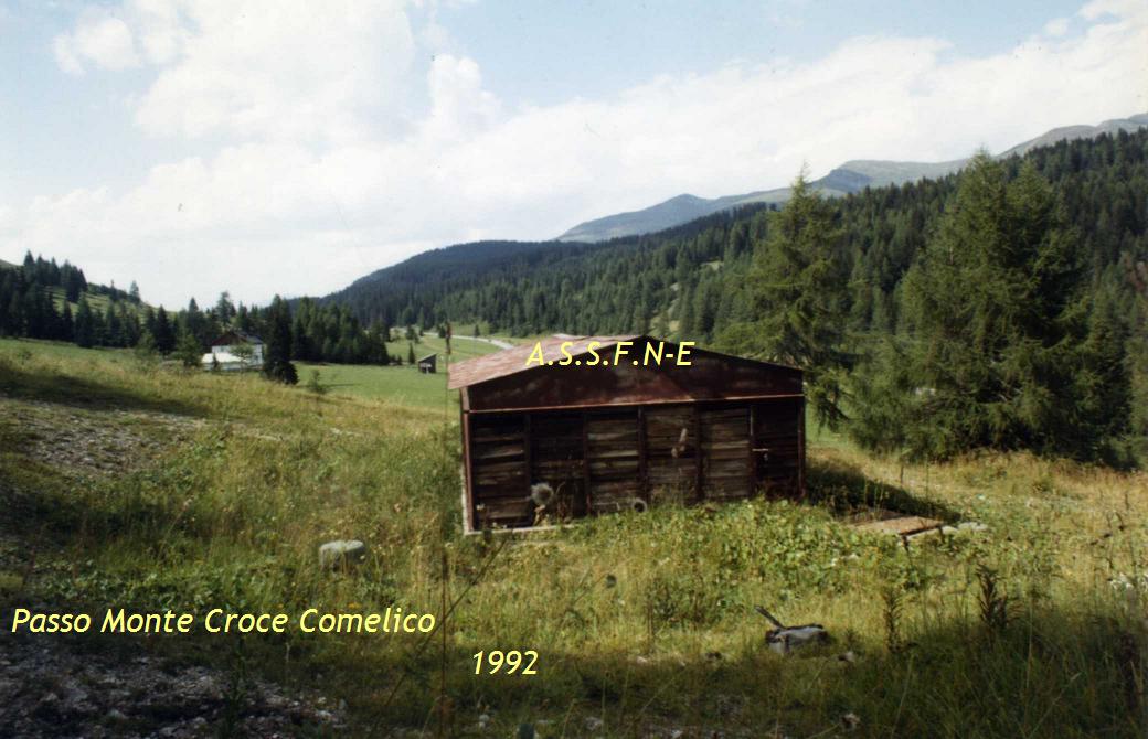 P1.JPG