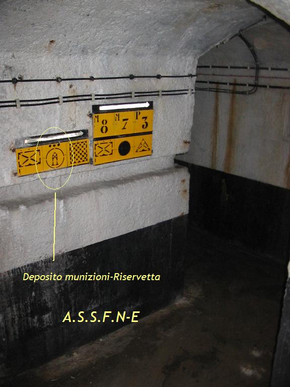 segn2.JPG