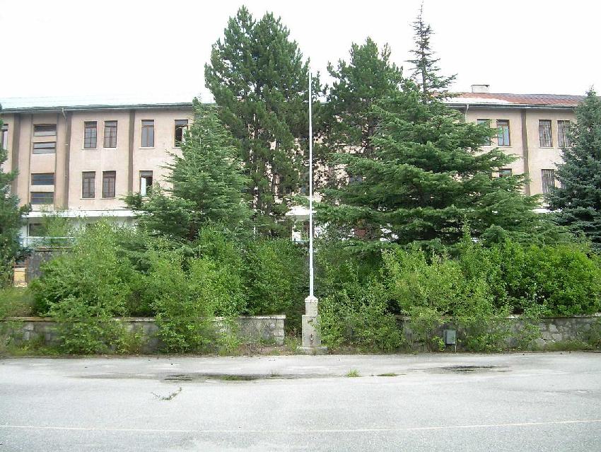 Elvas adunata.JPG
