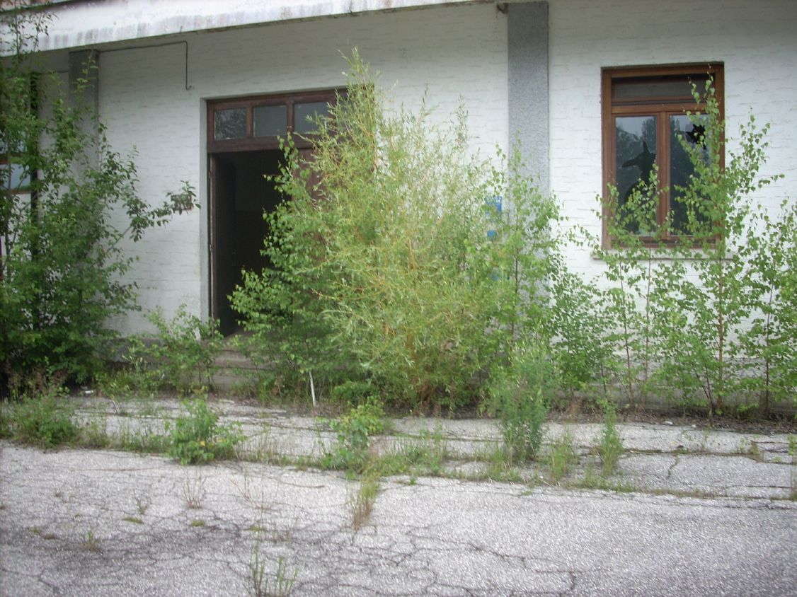 resized_mare 025.jpg