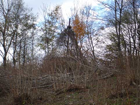 M Covone campo di bonis.jpg