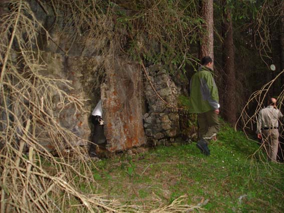 gli elfi del bosco di landro.jpg
