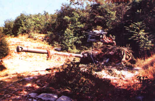 P M26 Xrid.JPG