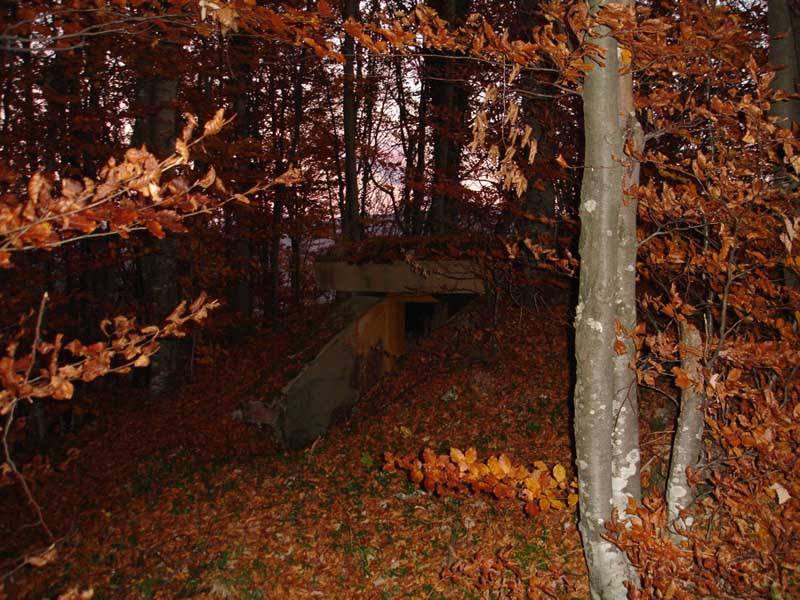 ingresso 2 subit.jpg