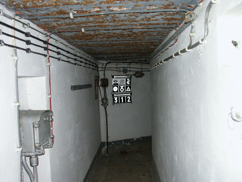 06.jpg