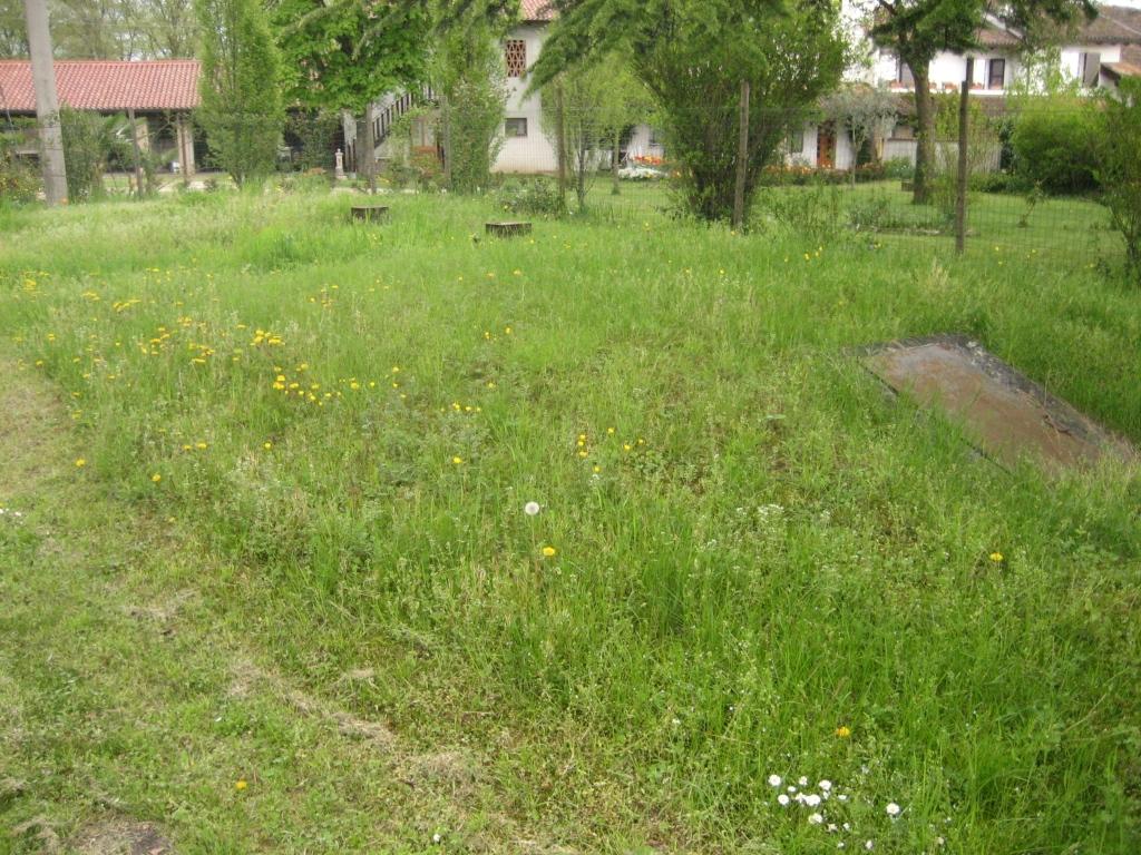 Borgnano_29.JPG