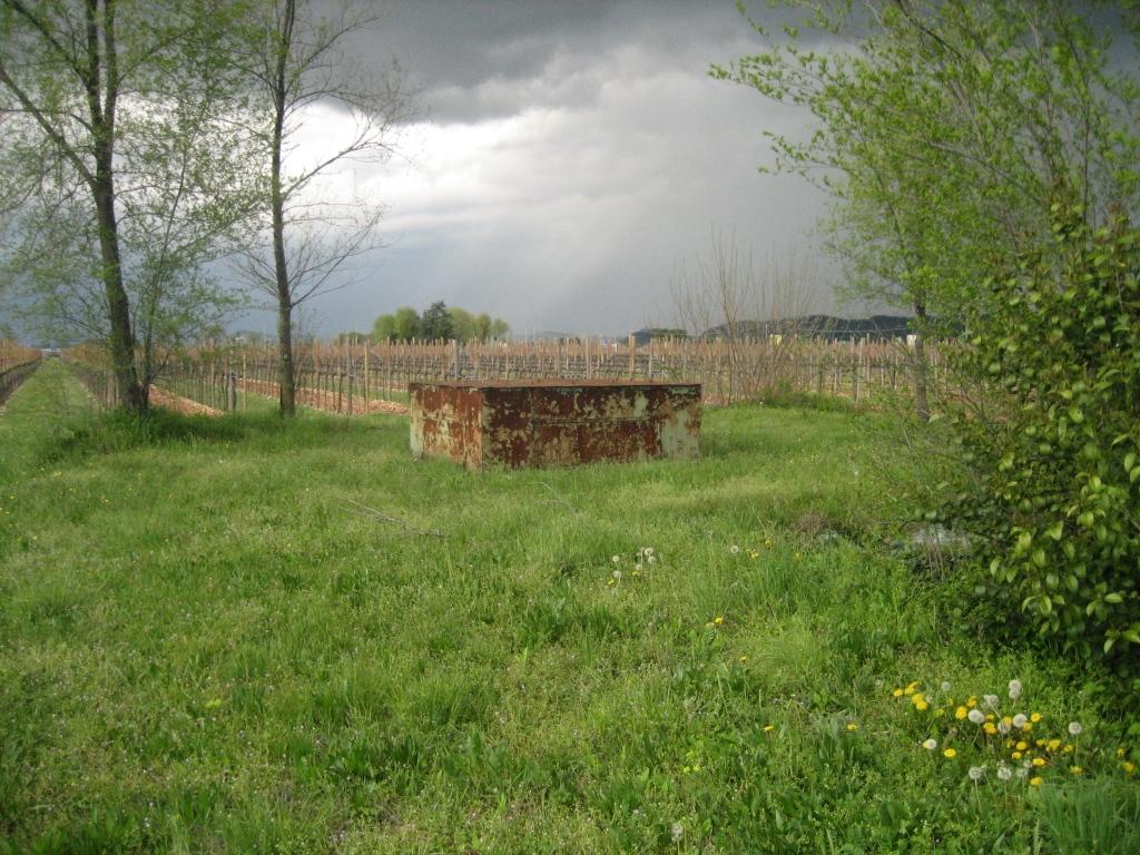 Borgnano_05.JPG