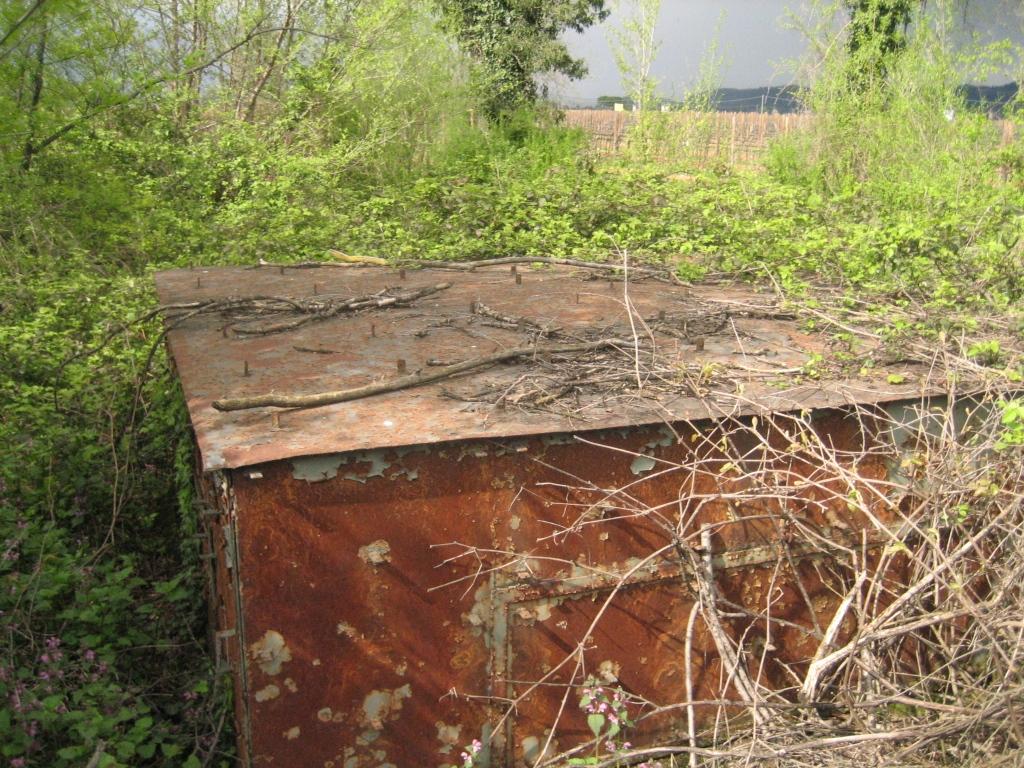 Borgnano_03.JPG