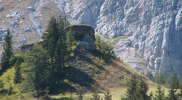 03.jpg