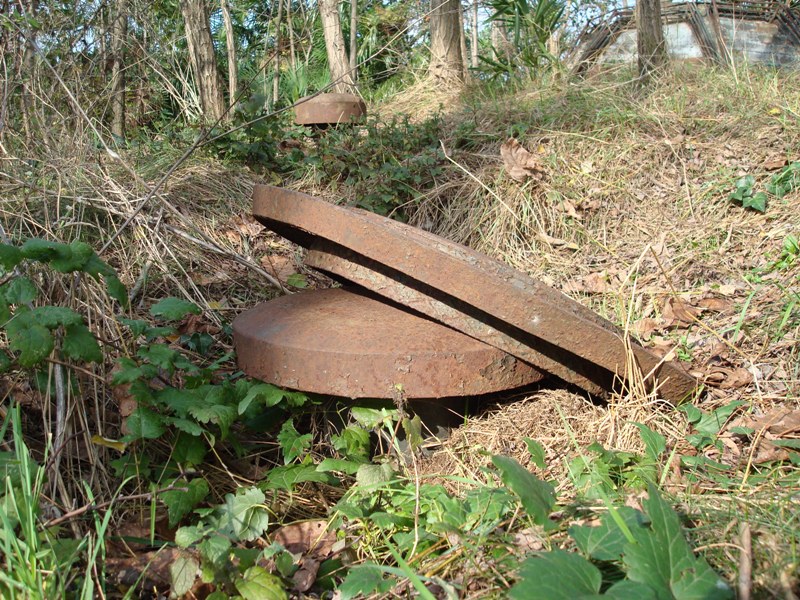 Curiosi questi dischi metallici a protezione dei funghi di areazione.