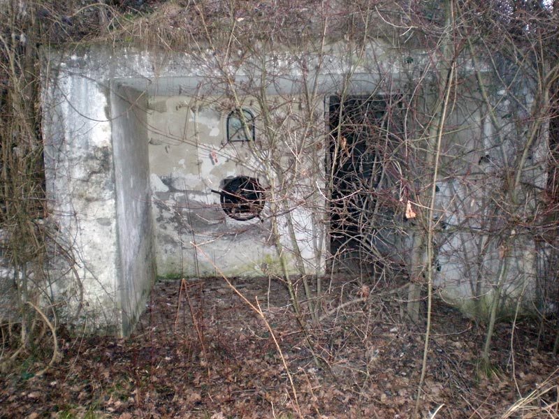 P1180271.jpg