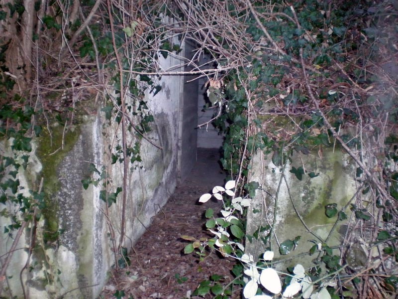 P1180275.jpg