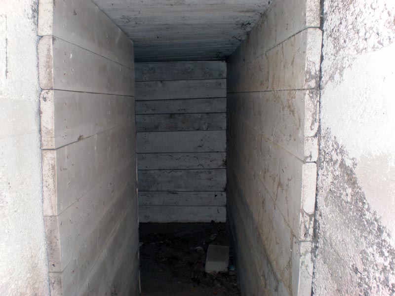 P1180276.jpg