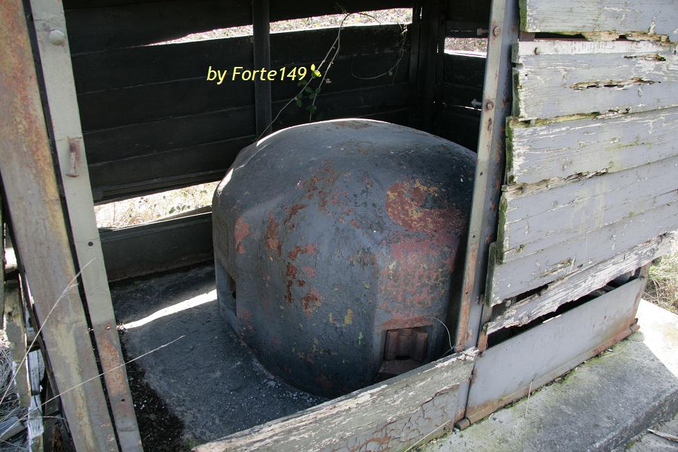 dol13.JPG